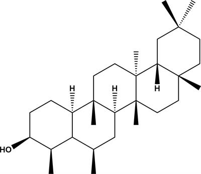 Epifriedelanol is the key compound to antibacterial effects of extracts of Synadenium glaucescens (Pax) against medically important bacteria